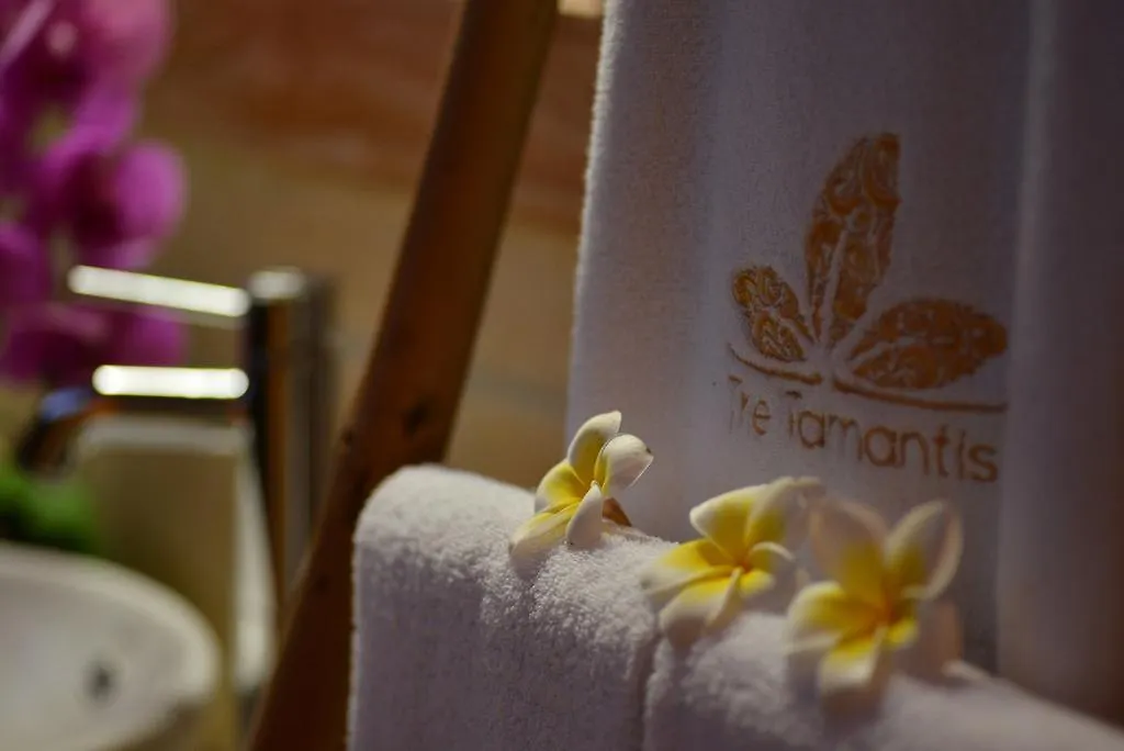 The Tamantis Villa 4*, Canggu (Bali)
